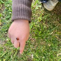 La maison de Annalisa