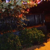 hector Arielina kuća