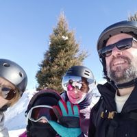 Maison bois avec toit végétalisé