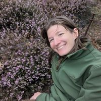 One bedroom in a historic district of Brooklyn