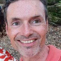 Chirping Birds House