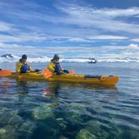 2 bedroom pet friendly home