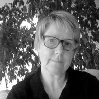 APPARTEMENT LES CIGOGNES