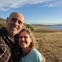 The Tawny Frog House