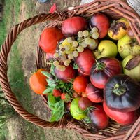 Casa de Marie-Emmanuelle