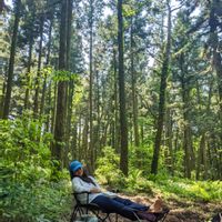 A cozy creative bookstay in a small log cabin with a garden and terrace, hosted by Airbnb Superhost