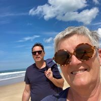 Maisonnette orientée ouest face à la pinède, avec des lumières de fin de journée au travers les pins