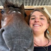 Appartement au cœur de Lausanne, lac à environ 30 min à pied, nombreux transports en commun.