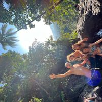 Tropical boho villa with large pool, 3 bedrooms and charming cafés nearby