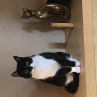 Etage privatisé chez Pierre et Françoise