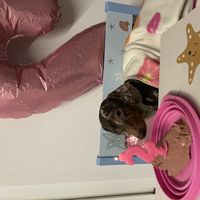 La maison de Eleonora