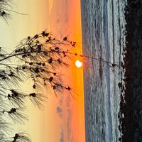 Les pieds dans l’eau