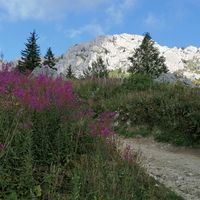 Studio mezzanine Villard de Lans proche tous commerces vue splendide sur la chaine du Vercors