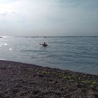 Casa di Gerardo Abrego Echeverria