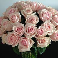 Appartement Vue mer de Cecile