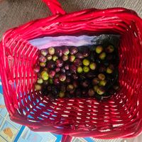 Parenthèse cosy chez Anastasia