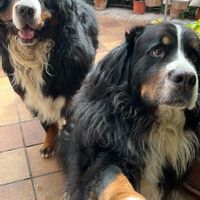 La maison de MARIA REYES