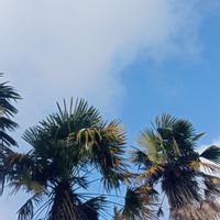 Pierre & Stéphanies hus