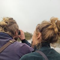 Appartement cosy proche plage du Prado