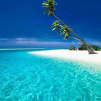 Ti K'Line - Appartement de standing avec jacuzzi aux Trois-Ilets