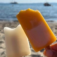 Sud de France,  Maison 200 m2 + jardin +piscine. 5min de Montpellier, 20 min mer et 20 min campagne.