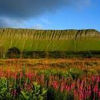 Modern detached 4- Bed family home located  near the coast and in walking distance of Sligo town.