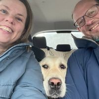 Charming old house by the sea, walking distance from down-town Reykjavik.