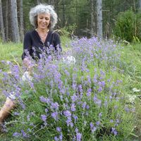 GITE PAUSE NATURE une partie de ma maison entièrement équipée pour recevoir famille et amis .