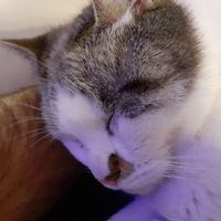 Étienne et Maryses hus