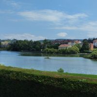 Vivienda en reserva natural con piscina y jardín. Vistas a la marisma y aves migratorias.