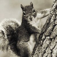 Richard et Charlène s Haus