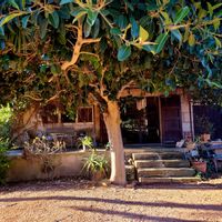 Fernando y Silvias hus