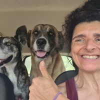 l'appartement de Volka