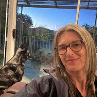 Mariheca's house:  Entertainers dream, games & pool table, braai, swimming pool, pet friendly home.