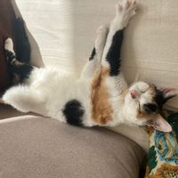 huis van François-Nicolas