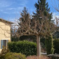 La chambre privée de Hélène