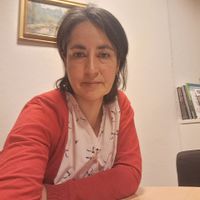 Appartement en centre ville avec une belle vue sur les montagnes