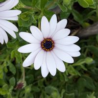 Casa de Julien Et Blandine