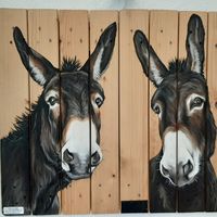 Colettes hus