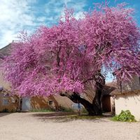 Casa di Rémi