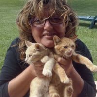 casa a Tepolini, Italia