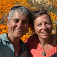 Sunny, lakefront, private home on a beautifully landscaped acre on Kootenay Lake in Nelson BC.