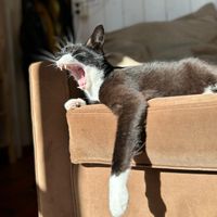 huis van JEAN-FRANCOIS