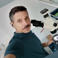 La maison de ALFONSO