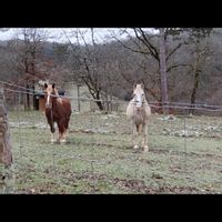 La maison de Marie-christine
