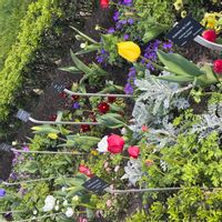 Studio proche centre historique