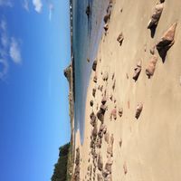 Appartement lumineux proche du parc des Prairies St Martin et du centre-ville :)