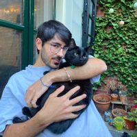 Wageningen center, Looft private room (RijksMomument building!), Shared big kitchen and terrace area