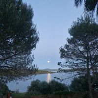 Coronada Purificación's house