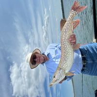 Steve and Barbara Briscombes hus